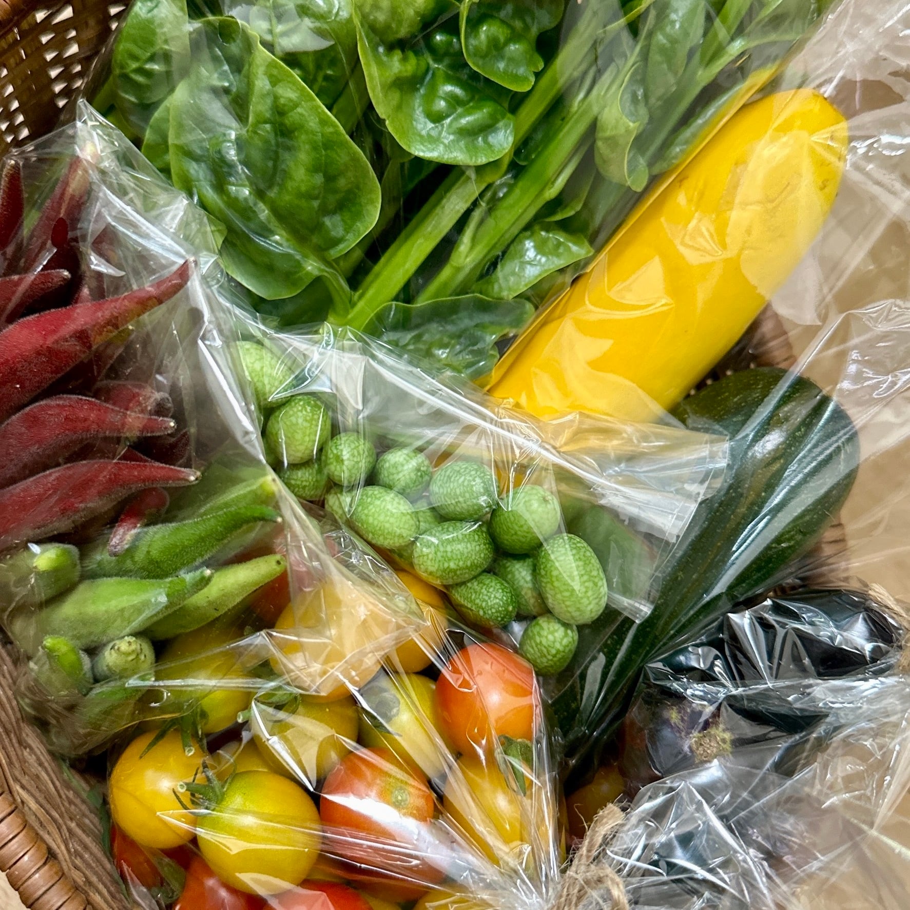 1箱お試し] 旬のお野菜セット｜yaoyam | yaoyam｜豊能町の野菜畑