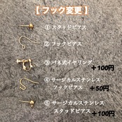 天然石 ジグザグロングピアス/イヤリング サージカルステンレス