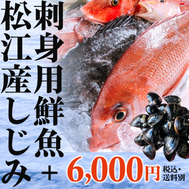 ★島根県松江産★神鮮魚6,000円セット（お刺身仕立て/現魚3㎏分　正味1㎏分）