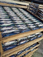 雨 丸干し5袋 アジの干物 丸干し500g【地元熊野灘産】 | 有限会社 魚作商店