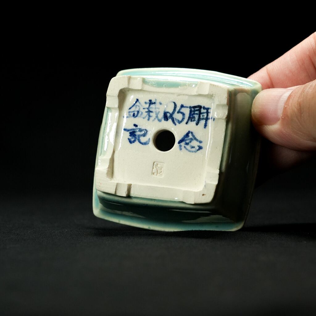 志水鉢 正方【盆栽Q5周年記念】 | bonsaiQ store