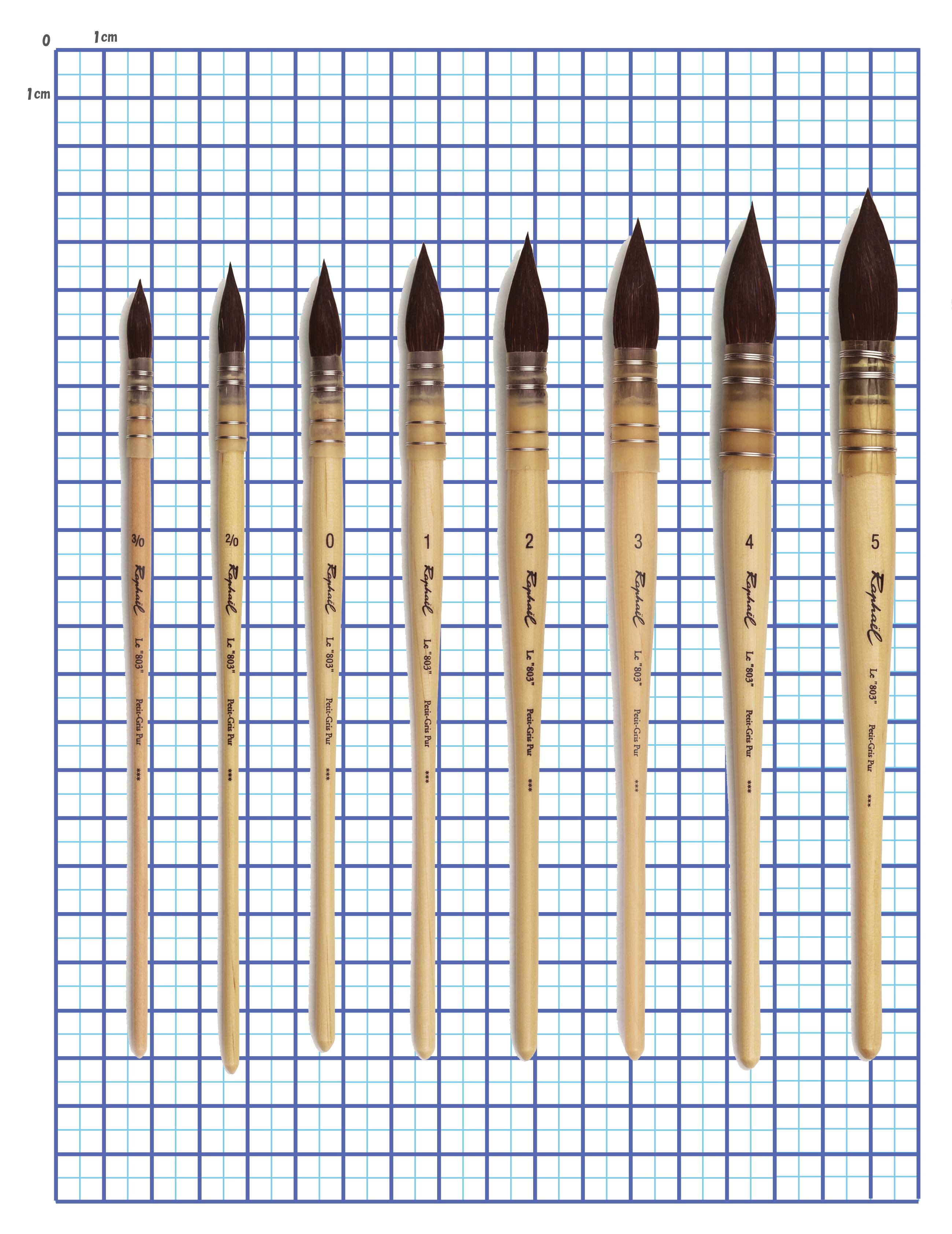 ラファエル 803  リス 丸羽管 1号