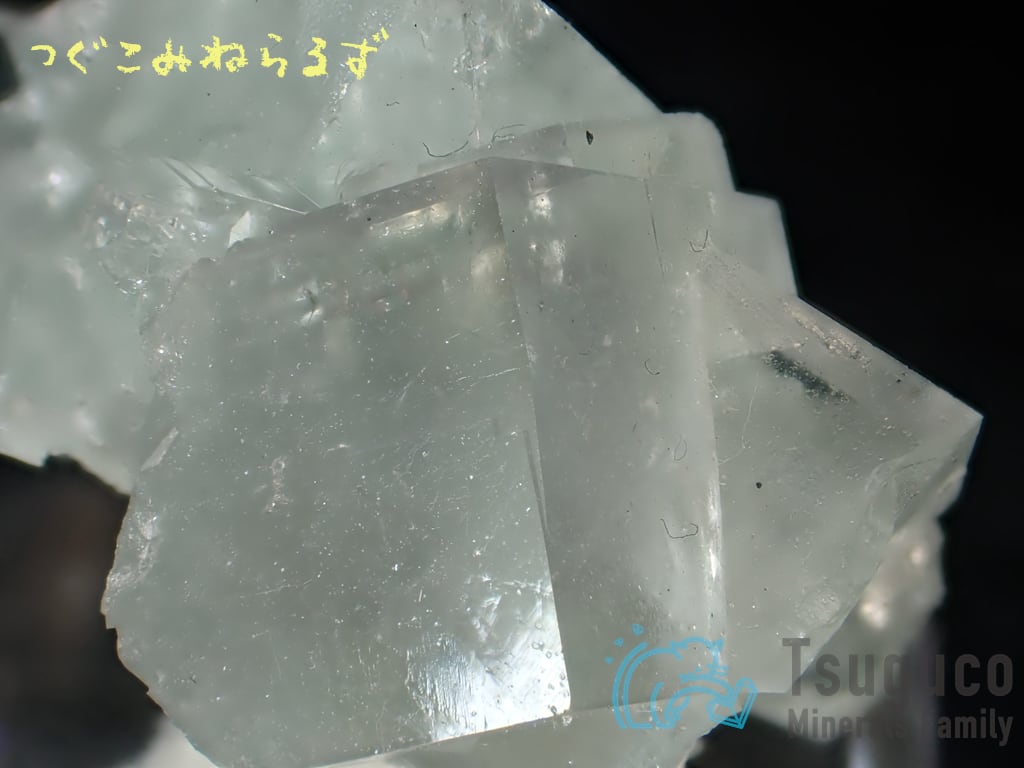 フローライト 蛍石 Fluorite フランス TM-0043