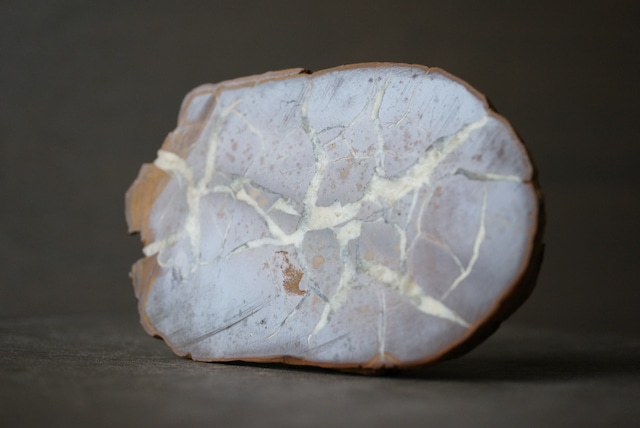 ベルギー産セプタリアン Septarian 1159