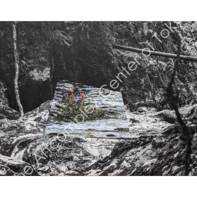 NaNaHa「Unexpected Connections 14」