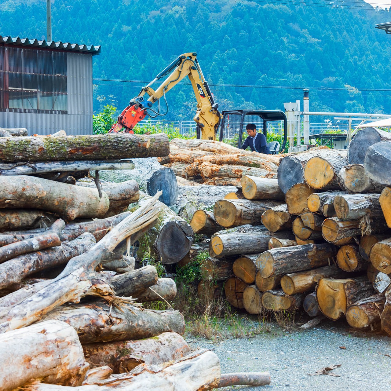 ［6kg］焚き付け用（スギの細割り薪：35cm）針葉樹　※含水率20％以下 - 12