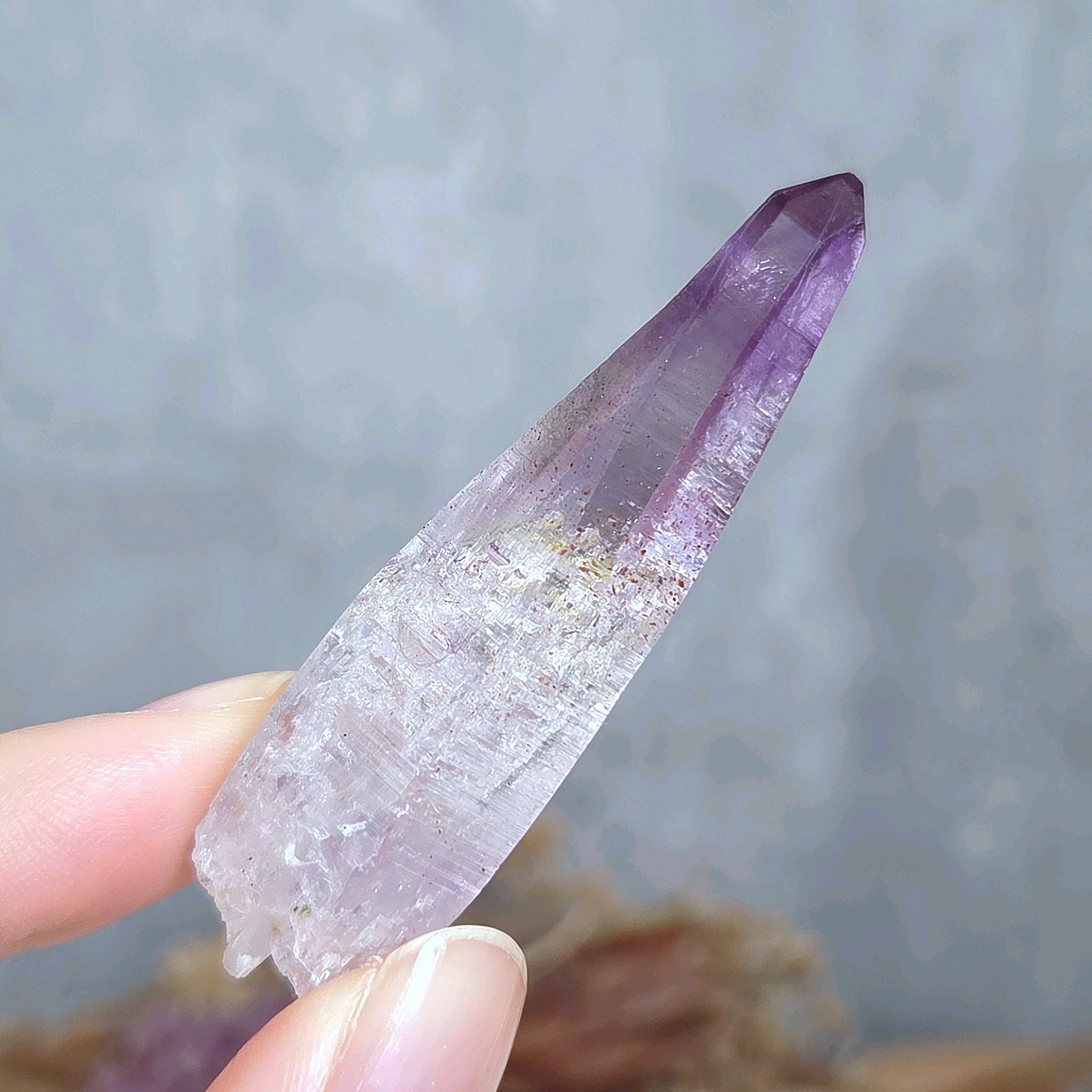 ムーンストーン 龍亀 ロングイ | Pay ID