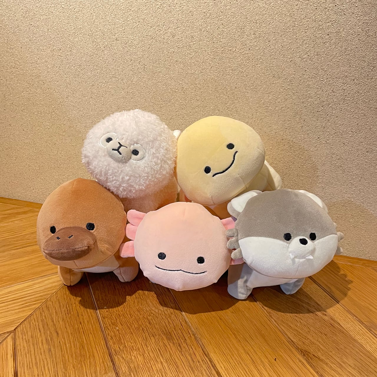 mof】テノリマスコット おおかみ /TM111-20 | ACCENT STORE