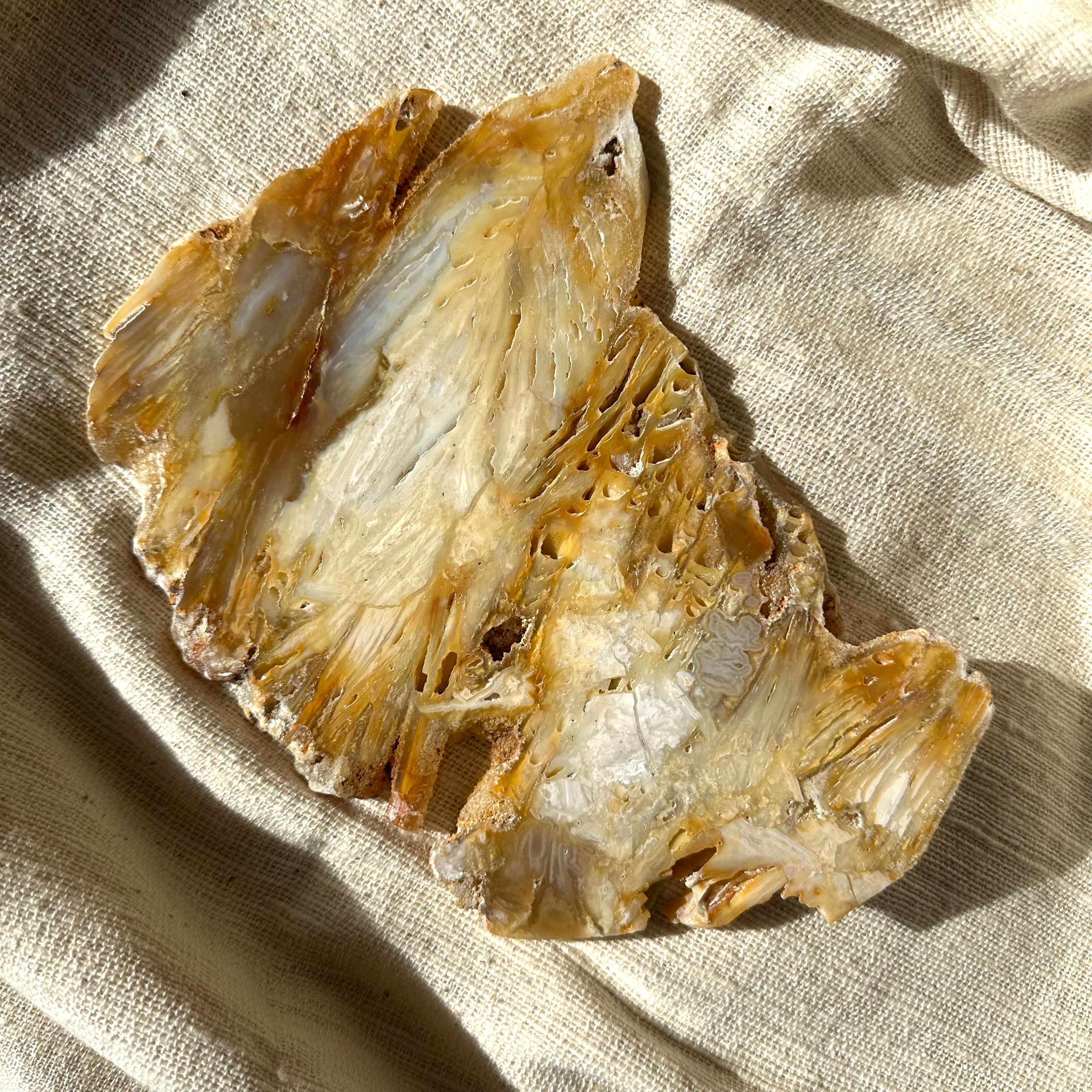 瑪瑙】ナチュラル アゲート スライス ブラジル産 ― 内側を整える天然の