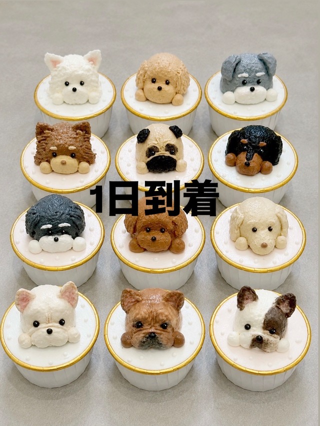 10月1日お届け【冷凍発送】オーダーカップケーキ