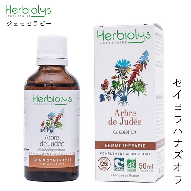 セイヨウハナズオウ 再生 詰まりやすい体に 循環と流動 50ml Evha Bio エヴァビオ ジェモセラピー 飲む植物幹細胞 エルビオリス フランス 植物療法 自然療法 オーガニック セイヨウハナズオウ 再生 詰まりやすい体に 循環と流動 50ml Evha Bio エヴァビオ ジェモセラピー 飲む植物幹細胞 エルビオリス フランス 植物療法 自然療法 オーガニック
