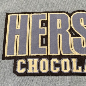【GILDAN】ハーシーズ 企業ロゴ Hershey's チョコレート チョコミント 刺繍ロゴ スウェット プルオーバー フーディー M ハーシーカンパニー US古着