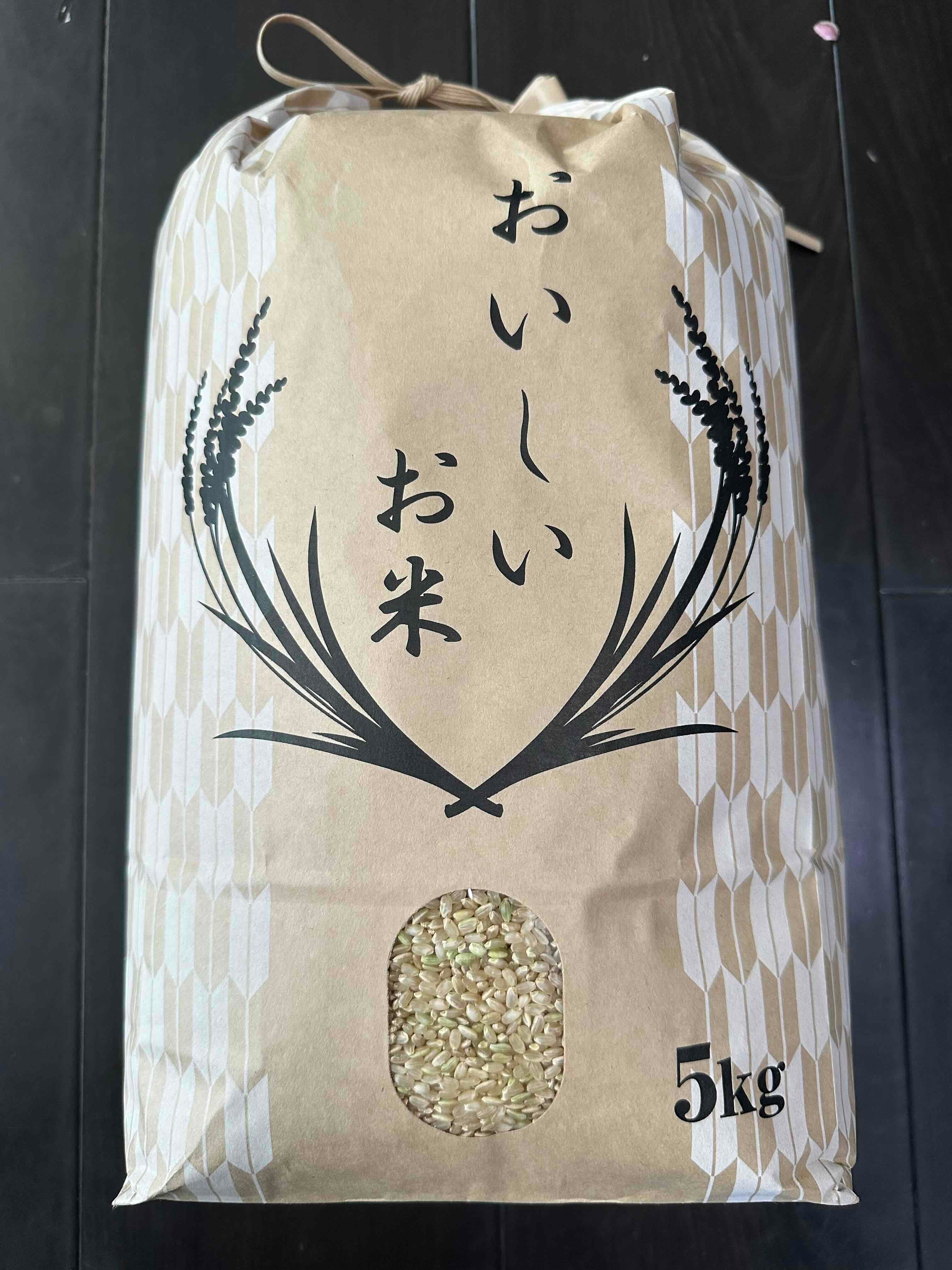 特別栽培米】令和7年産コシヒカリ 10㎏【古米】 | Enoki Rice