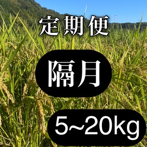 岡山県産　朝日米　5㎏～(玄米/分づき/白米)│無農薬│在来種│令和7年産│くらしき自然栽培