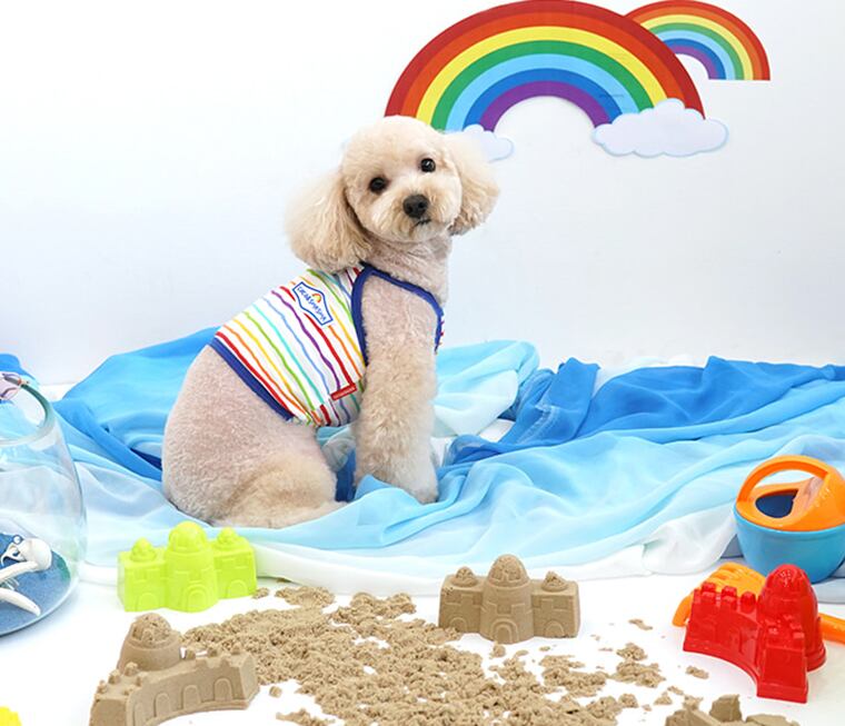 【SALE】rainbow croptop S ~ XL 2color / 犬の服 犬服 新作 ショート丈 お揃い クロップドトップス 小型犬 中型犬 ペット洋服 ドッグウェア ペット用品 top110