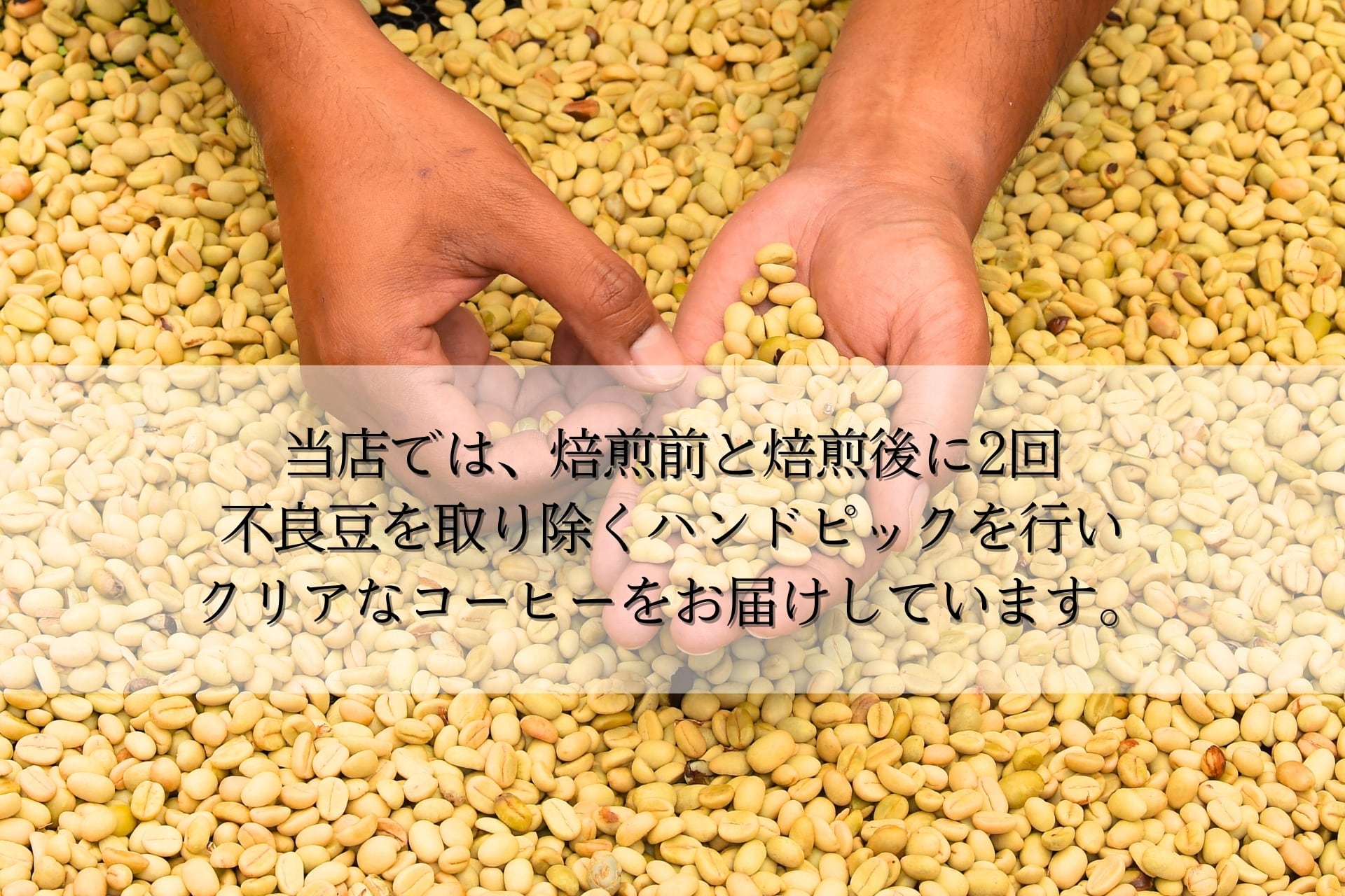 エチオピア ゲイシャ G1 ナチュラル ゴビ・ゲイシャ農園 Qグレード