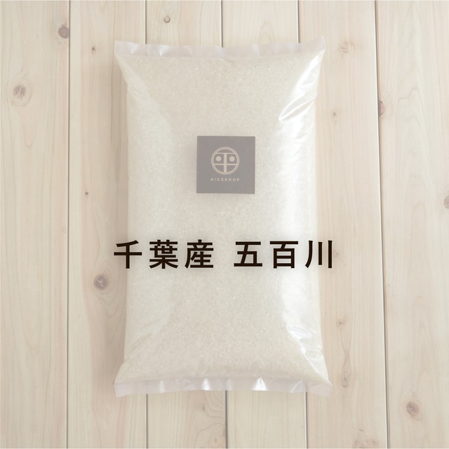 千葉産　五百川