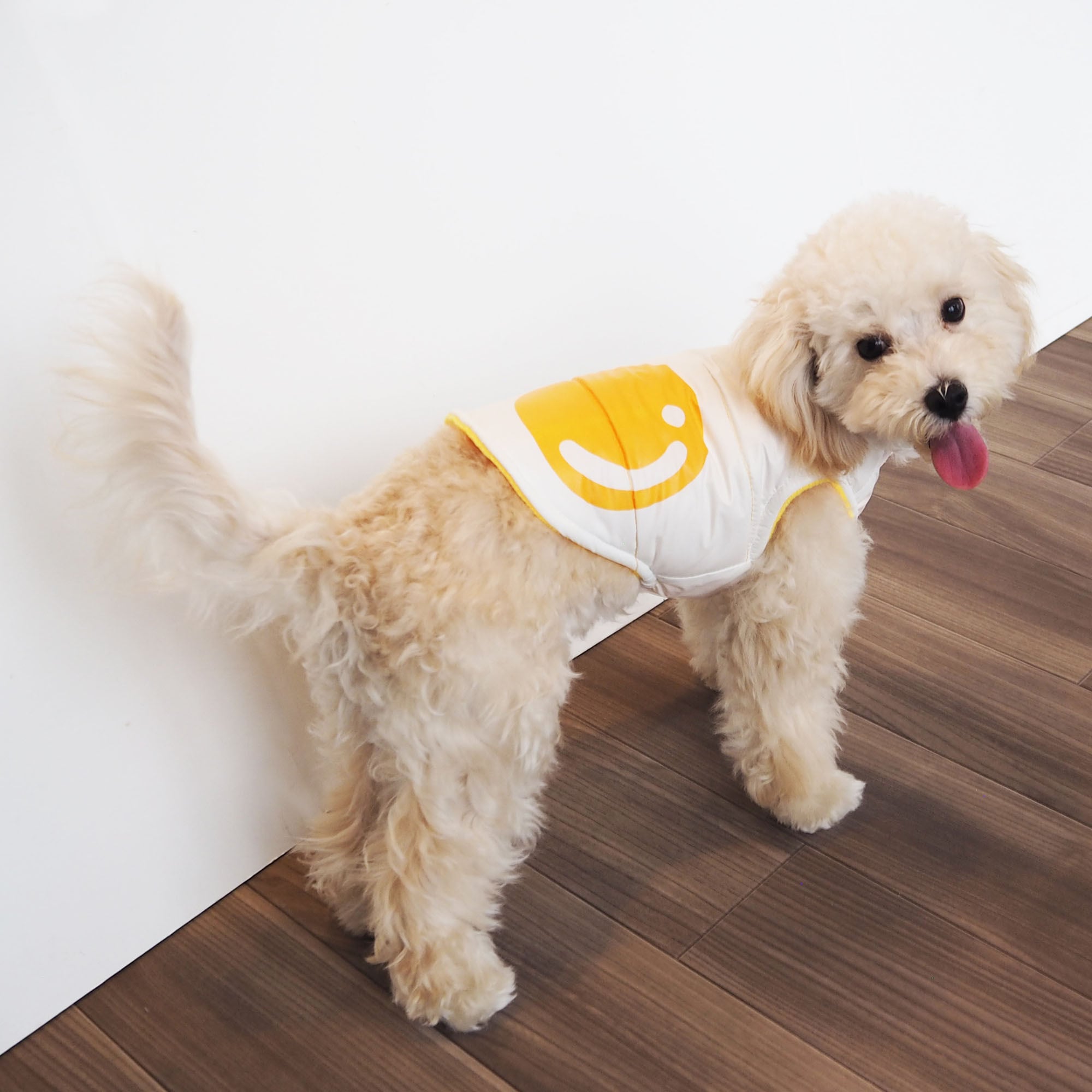 【ドッグウェア】目玉焼きベスト