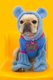 即納【TOOF】TOOF PUPPY TEDDY BEAR NECKWARMER (Blue)