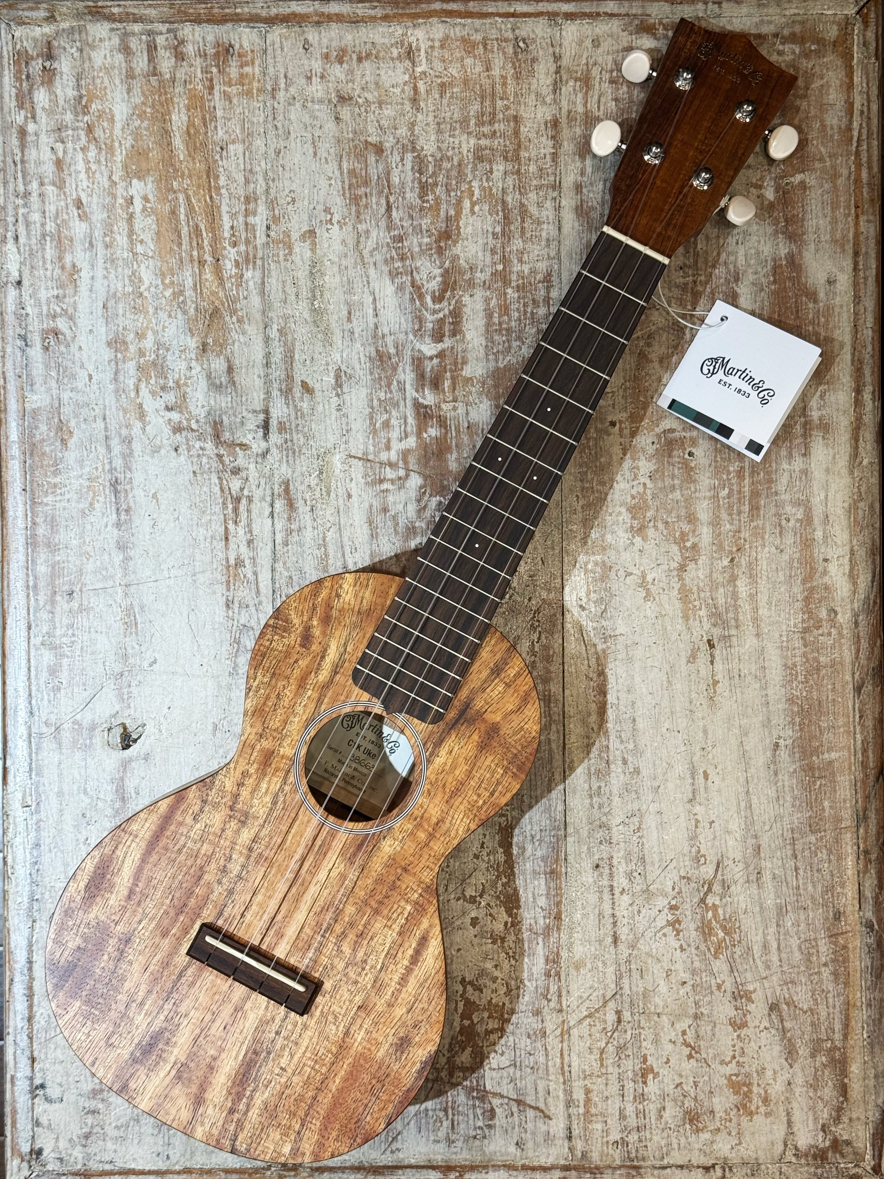 コンサート | ファインウクレレ