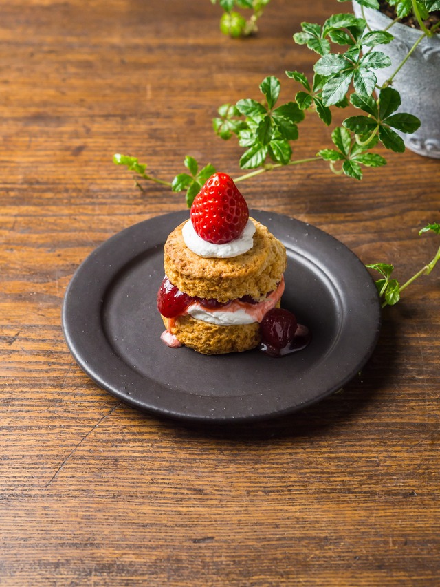 SHIROUMA 洋皿 15cm 黒(小皿・取皿・デザート皿)/長谷川 哲也