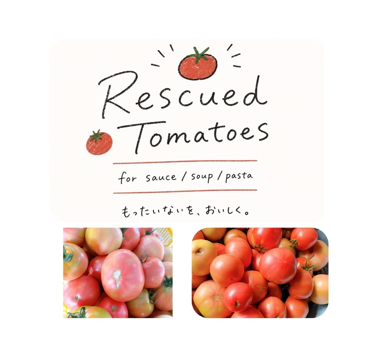 【数量限定】Rescued Tomatoes 2kg ver.