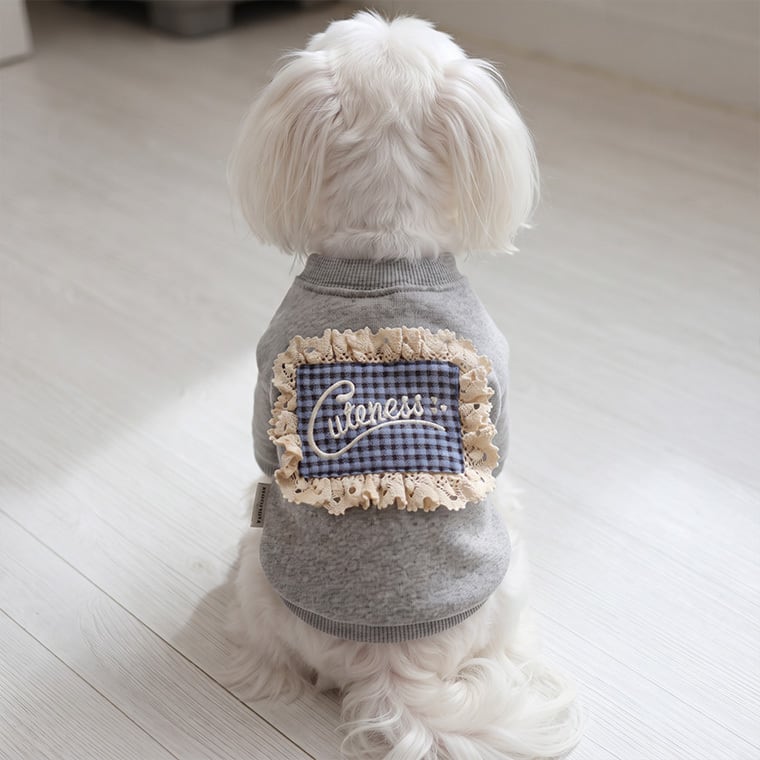 cutie sweatshirt XS ~ 2XL 2color  /  犬服 秋冬 トレーナー Tシャツ 韓国ワンコ服 無地 シンプル お揃い トップス 可愛い 犬の服 小型犬 中型犬