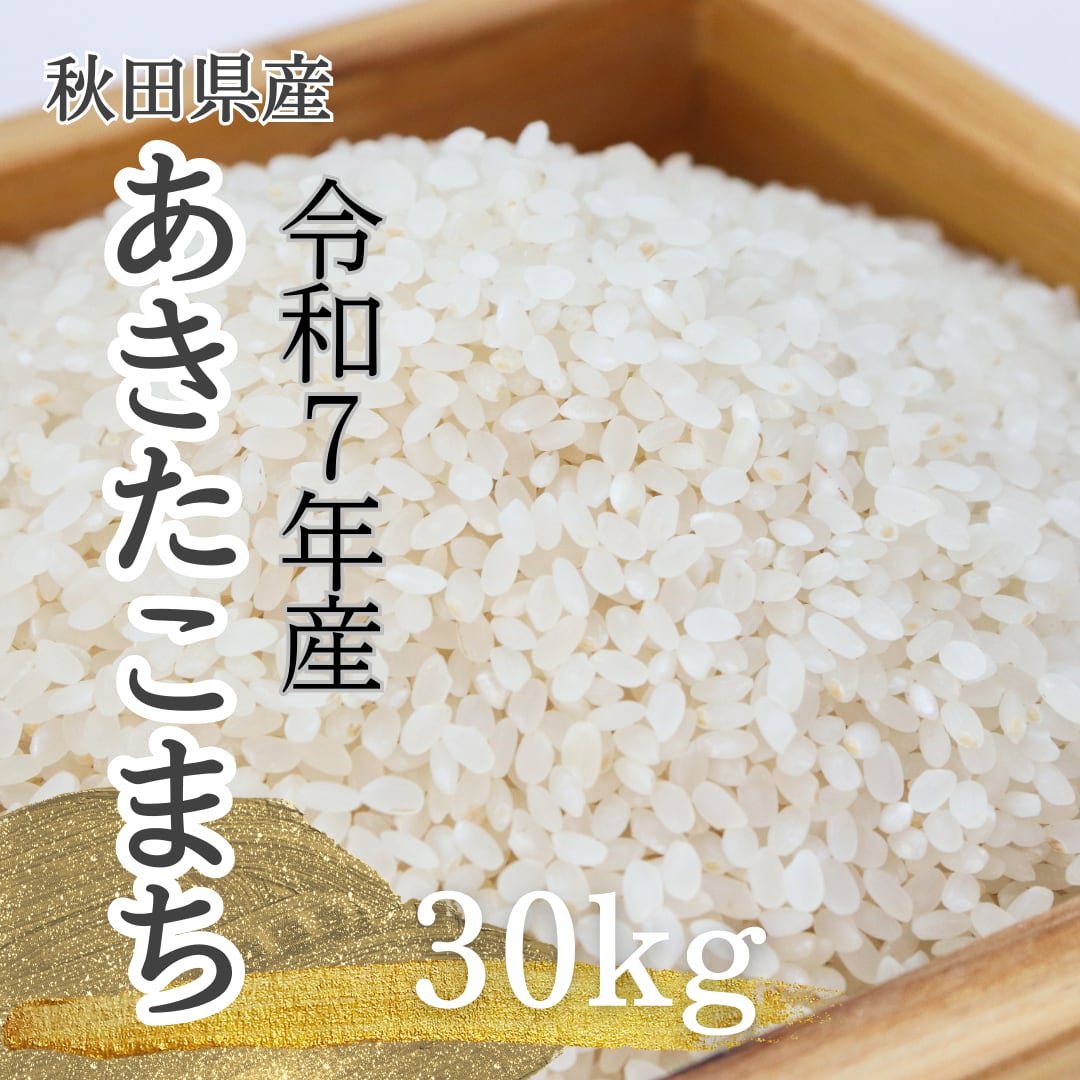 ☆令和6年 ‪新米 ひとめぼれ 20kg 秋田県産 産地直送☆ 【公式通販】‬