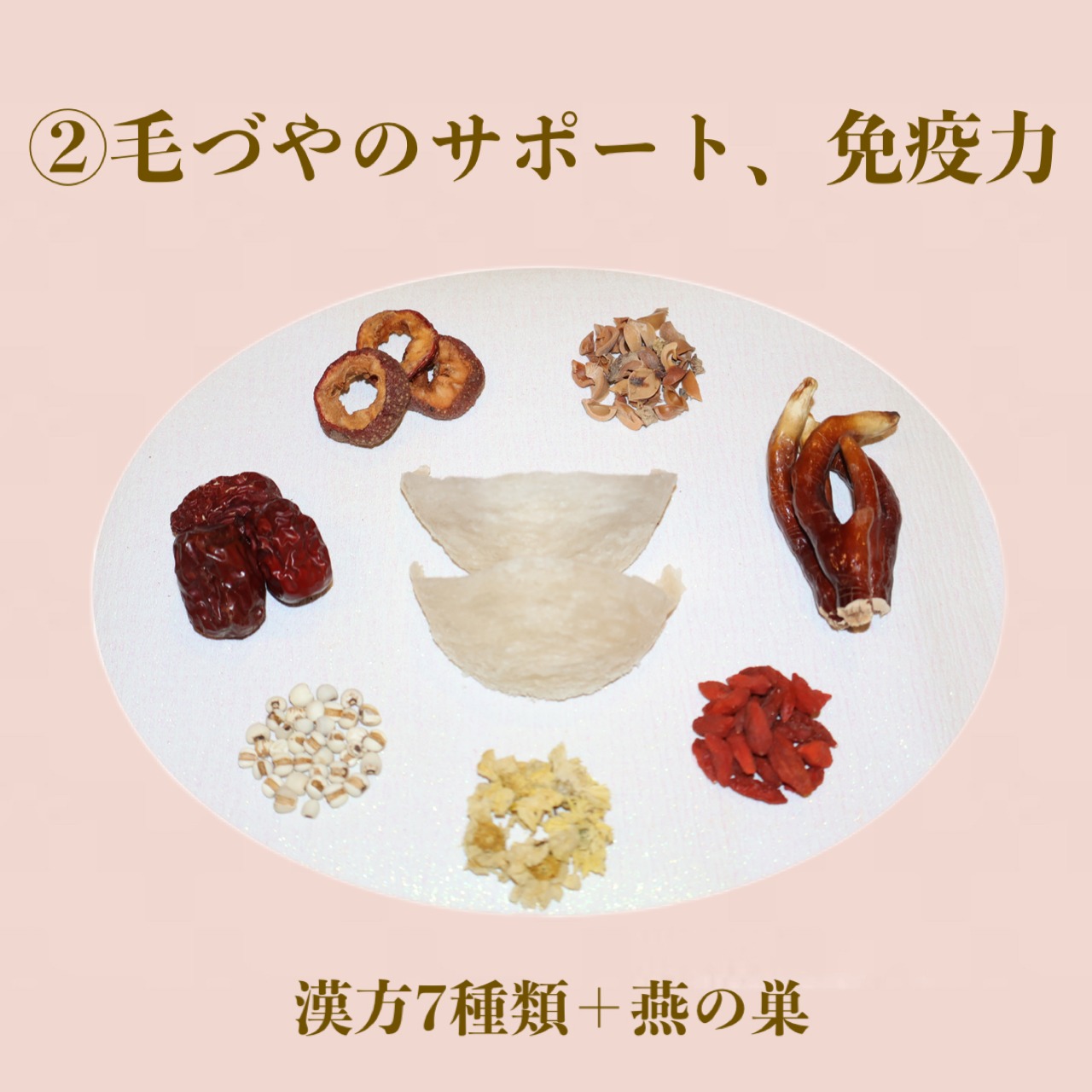 【定期便】 DeliciousWan 800g 3個セット