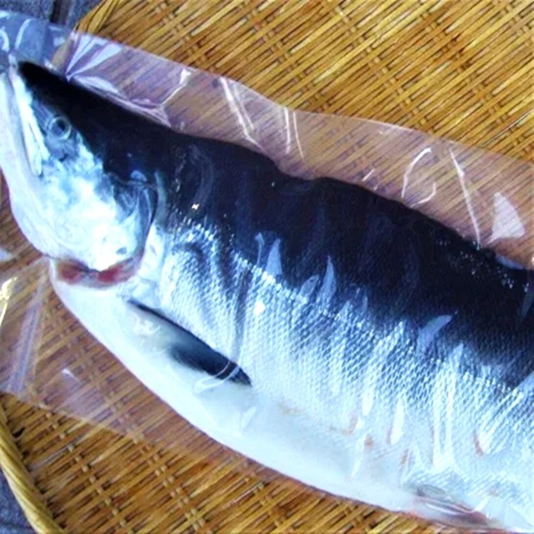 北海道産 低温熟成塩仕込 ときしらず半身800~899g