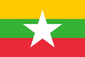 ミャンマー アマヤーG1 100ｇ