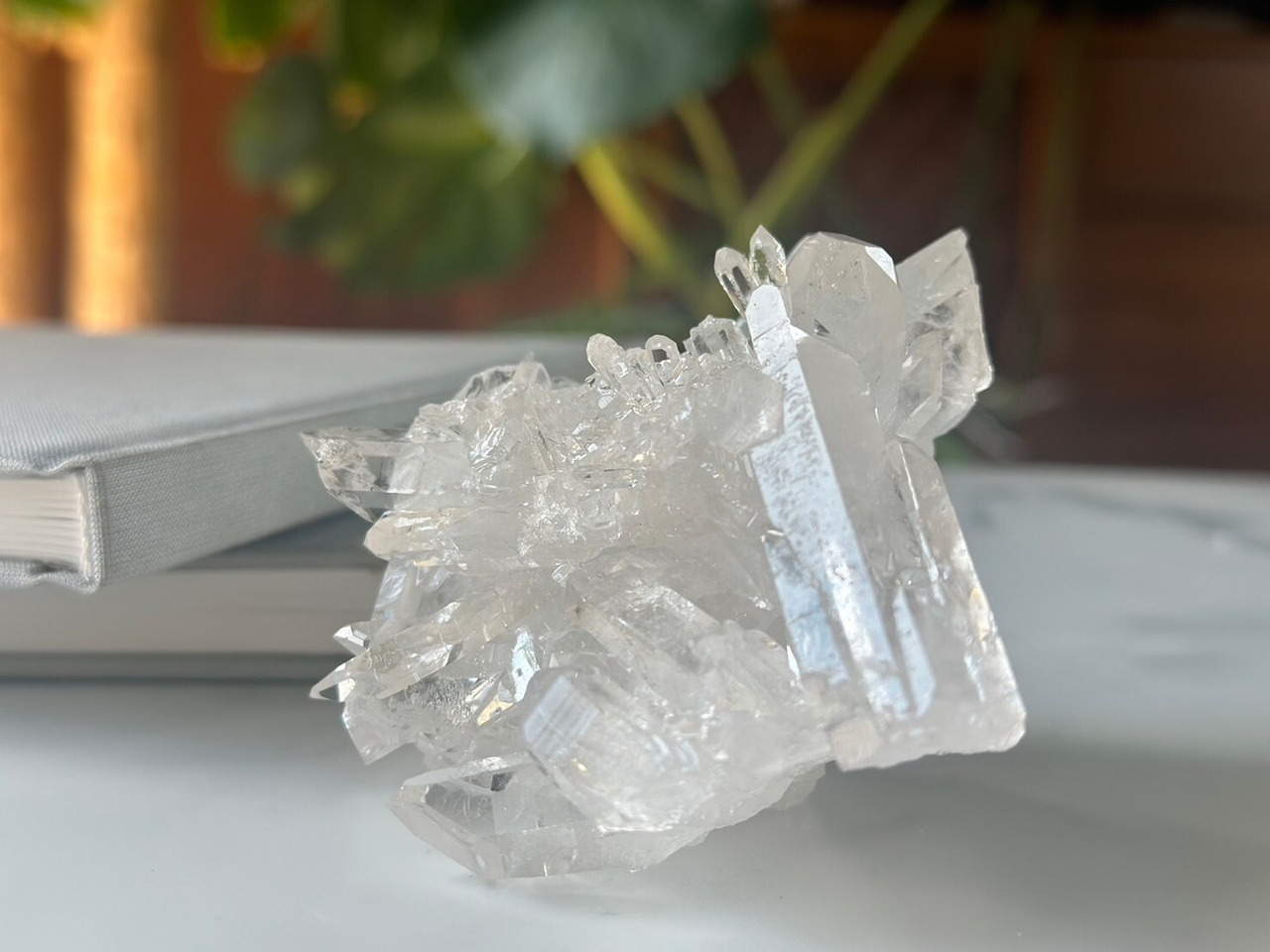 恋と婚活と家庭のオートクチュール60