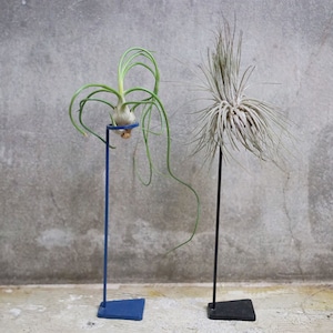 IRON TILLANDSIA STAND