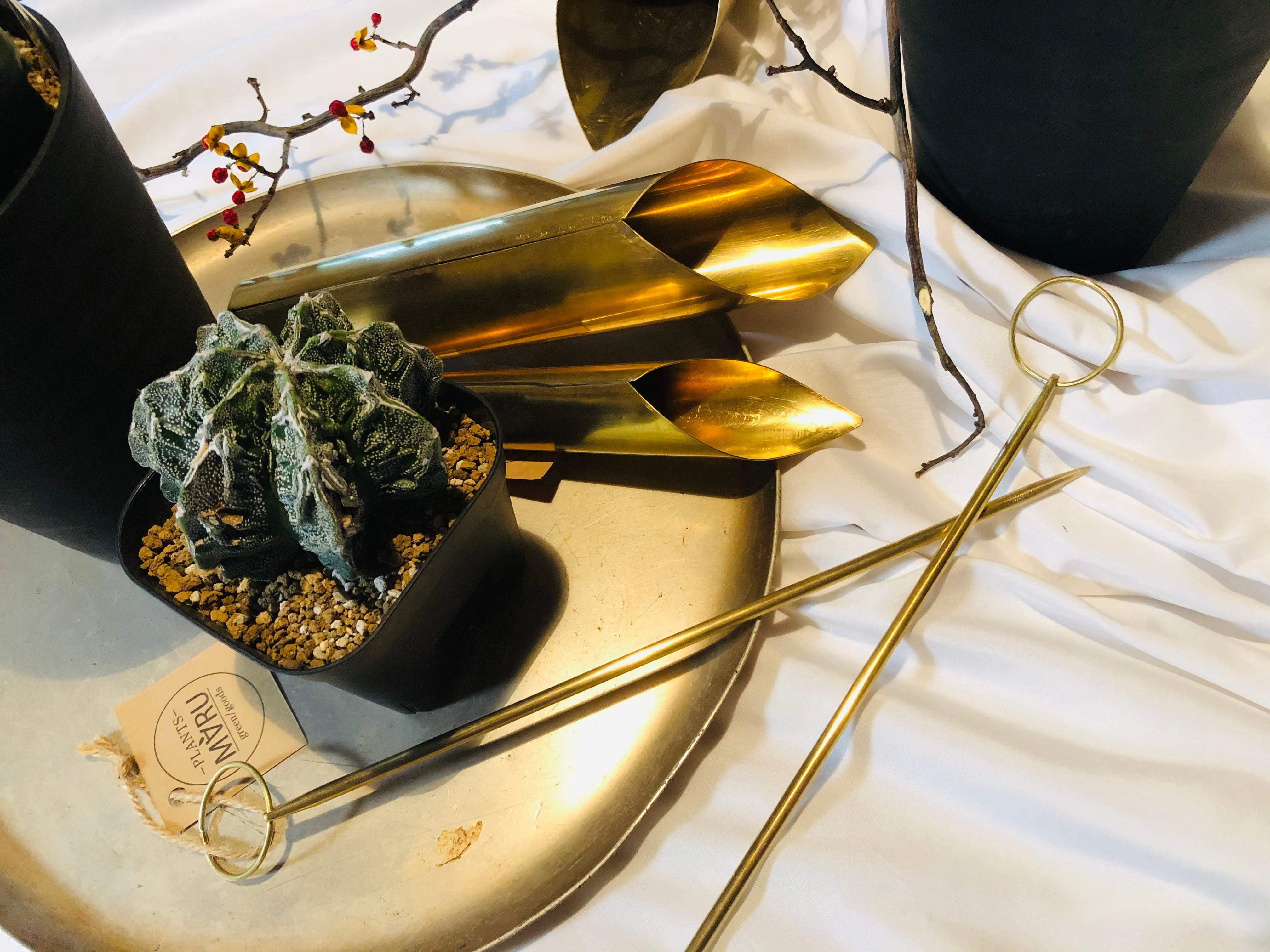 真鍮植え替え棒 ソイルスティック 園芸用品 小野銅工店 | plants MARU