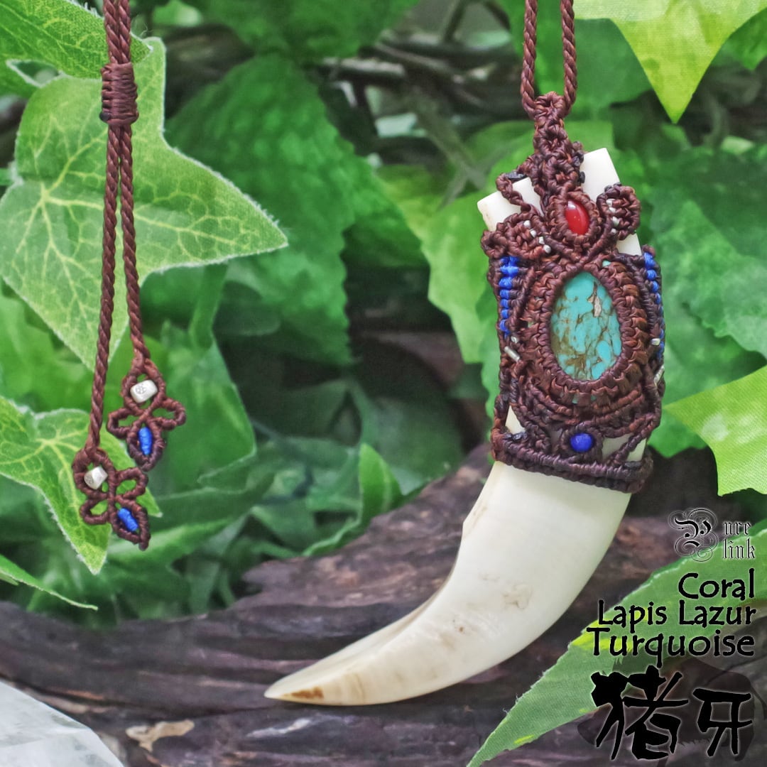 ac69ae2683aed3724a2bb5444ef608