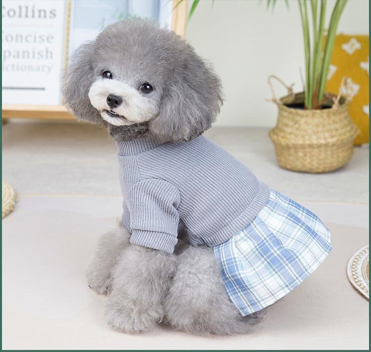 新品未使用　pet so chic 犬服