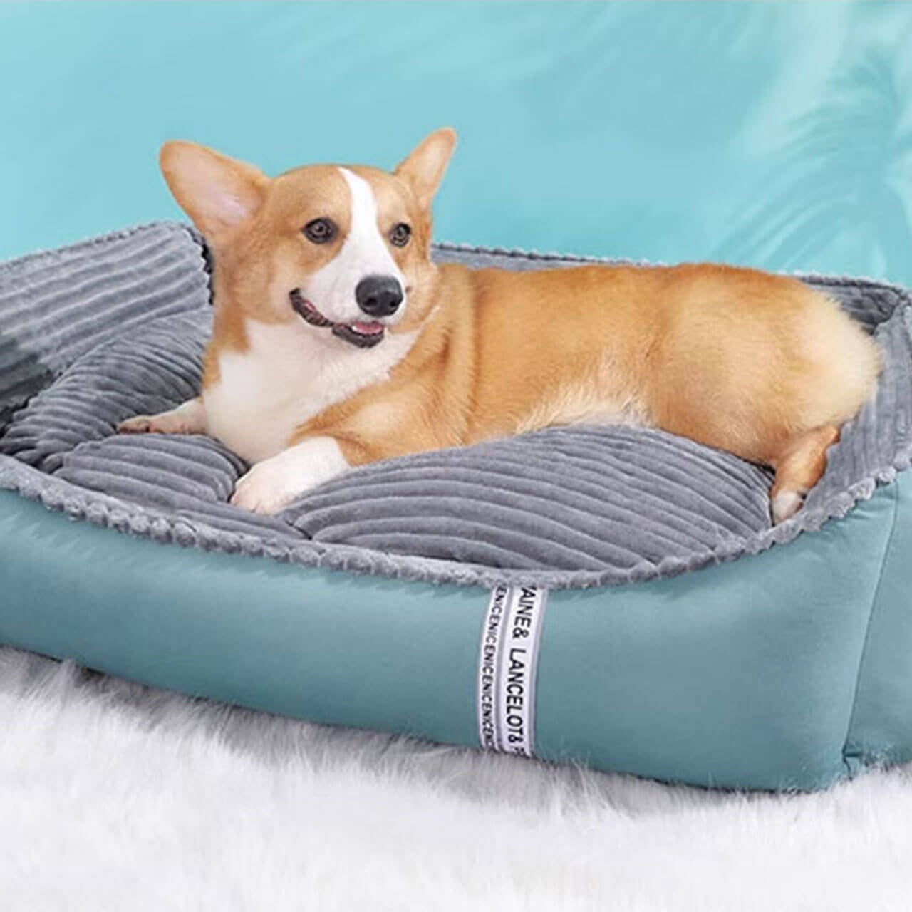 【新品】コストコ　ペットベッド　2個セット　新作　イタグレホイホイ　④ コストコ イタグレホイホイ 2個セット 新品 ペットベッド 2024新作