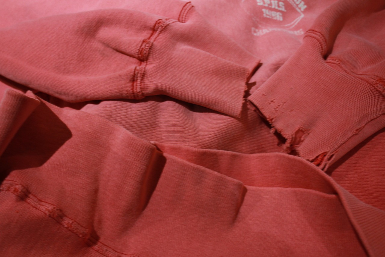 good faded 90’s champion reverse weave | AMMMY MADE COLORZET
