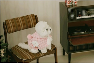 即納【pecoramou select】ロマンスポンチョ ピンク