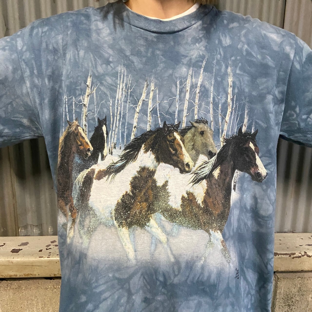 90年代 THE MOUNTAIN タイダイ染め 馬 アニマルプリントTシャツ メンズ