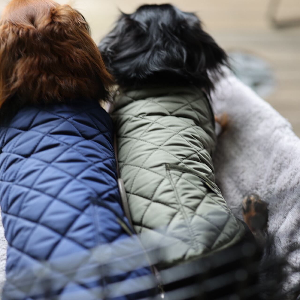 ダックスフンド柄　キルティングジャケット　カーキ ダックスフンド柄 キルティングジャケット カーキ ダックスフンド柄