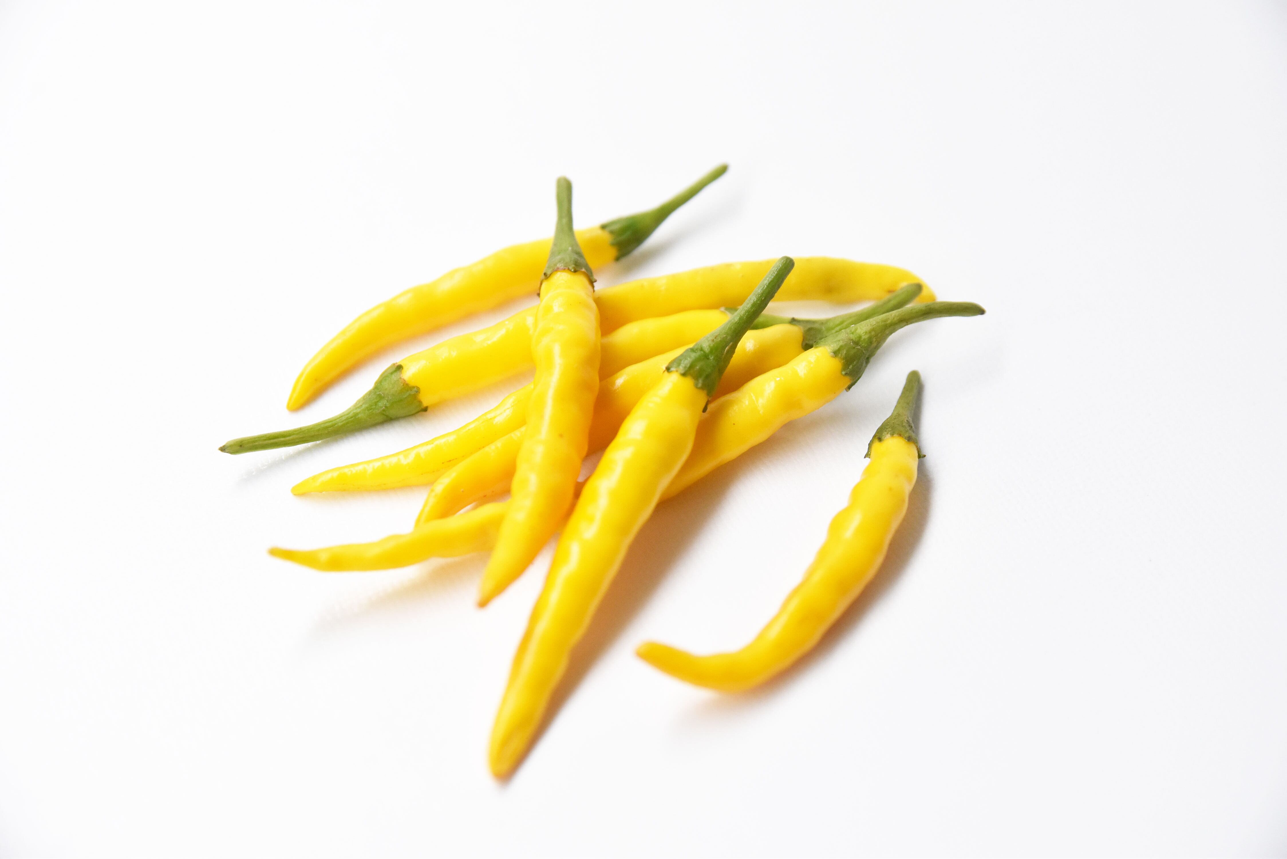 黄色唐草 唐辛子にんにく (青・赤・黄） 各1本×3本 食べ比べセット | いずみ五