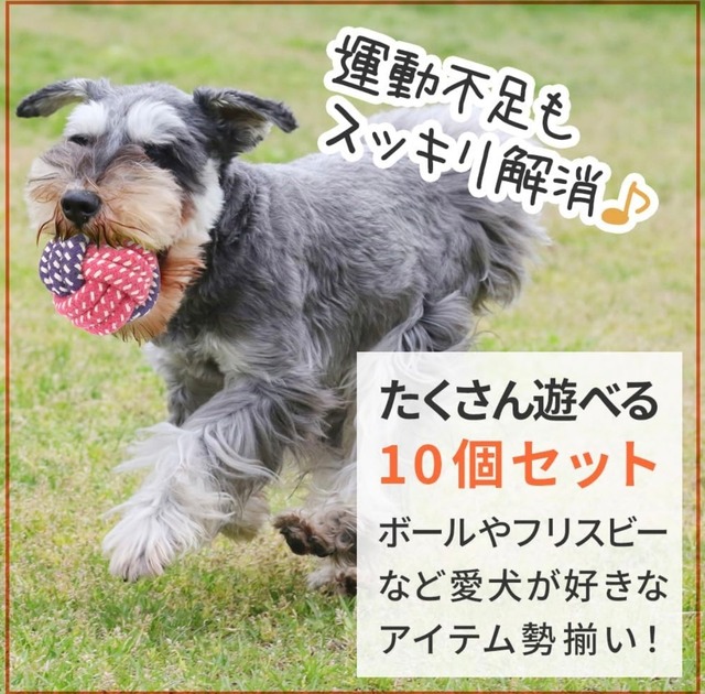 犬用おもちゃ ロープ遊び 10種セット