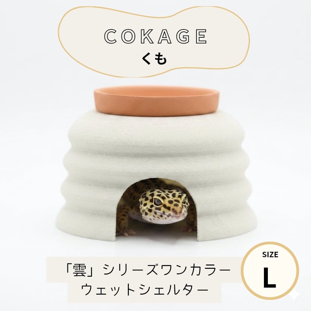 COKAGEシェルター │ かわいい爬虫類シェルター専門店 レオパ ニシアフ