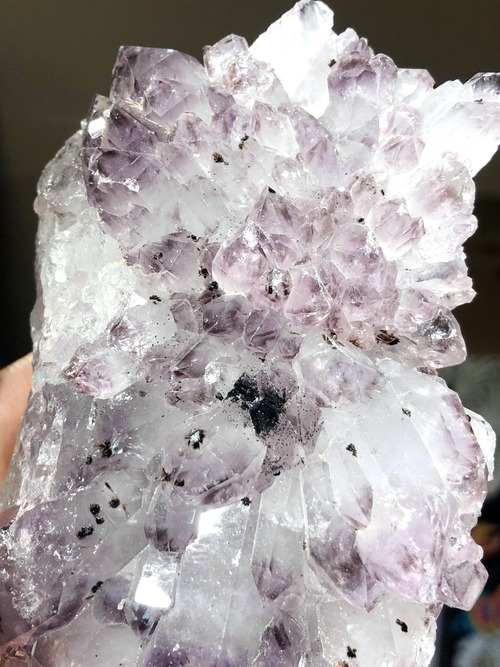 静かで強いあなた