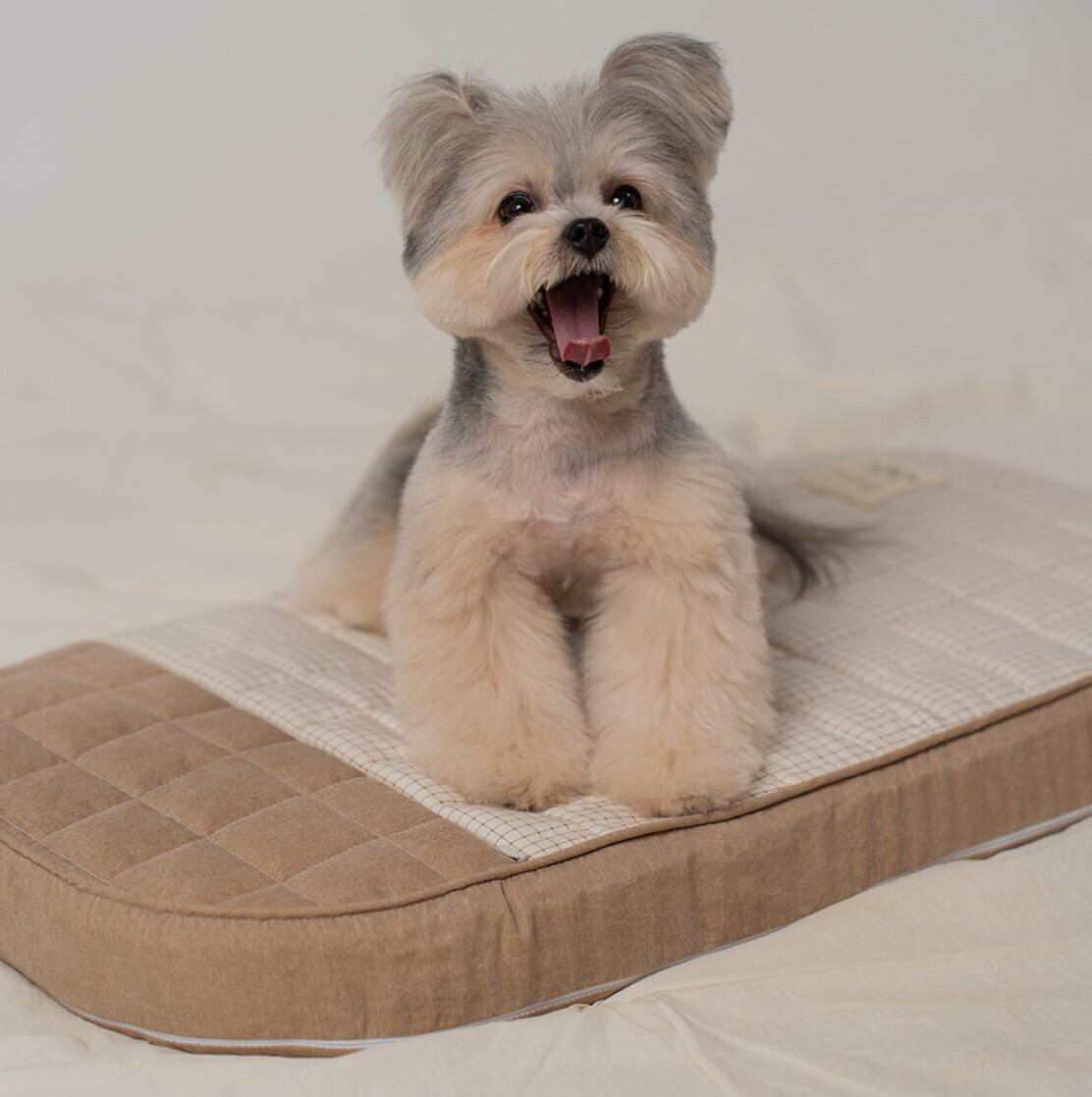 予約【ritogato】HoneyBunny Pet Cart Cushion《Brown》