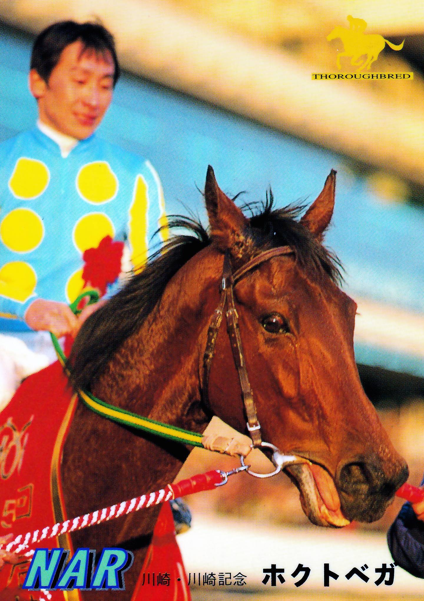 【現地的中】単勝馬券 第19回 帝王賞 ホクトベガ 現地的中】単勝馬券 第19回 帝王賞 ホクトベガ 現地的中】単勝馬券