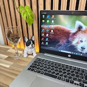 \ 公式ショップ限定価格❣️/ 最新モデル《大型ディスプレイ》HP ProBook 450 G7 第10世代 15.6インチ SSD256GB ノートパソコン 安心サポート&3ヶ月保証付き