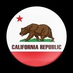 ゴーバッジ(ドーム)（CD0163 - FLAG CALIFORNIA） - 画像1