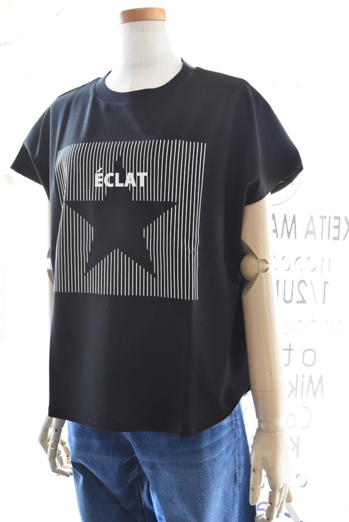 le chanter(ルシャンテ) 25S/S スターストライプロゴTシャツ